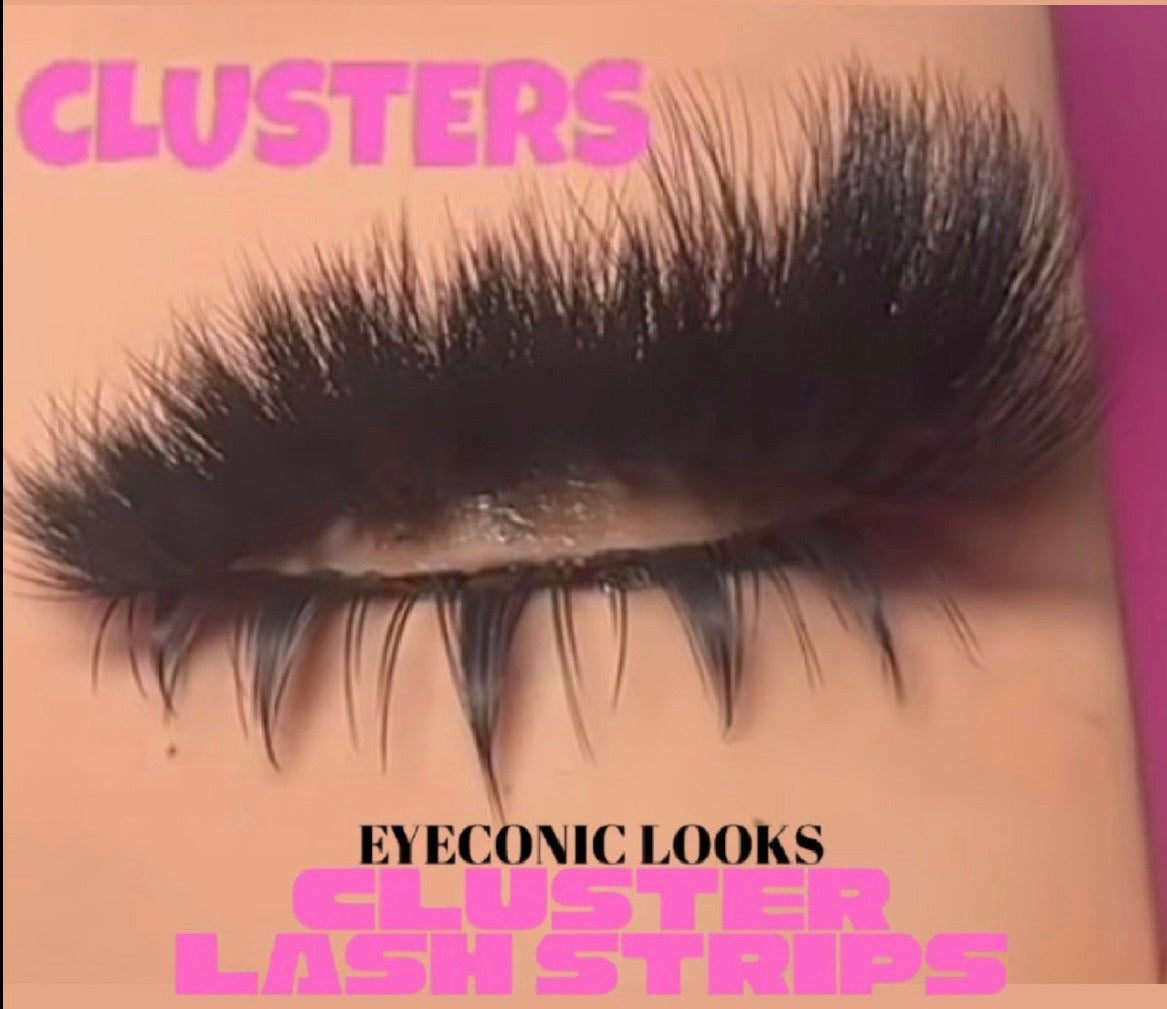 LASH MAPS - EBOOK